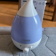 ミニ超音波加湿器 seyluk