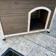 犬小屋