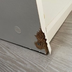 白色　木目　テレビ台の画像