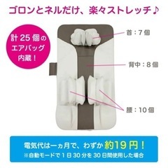 エアストレッチマット ゴロンネルプラスの画像
