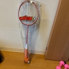 バトミントン🏸