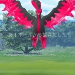 ポケモンGOを愛する方〜🎶 - 京都市