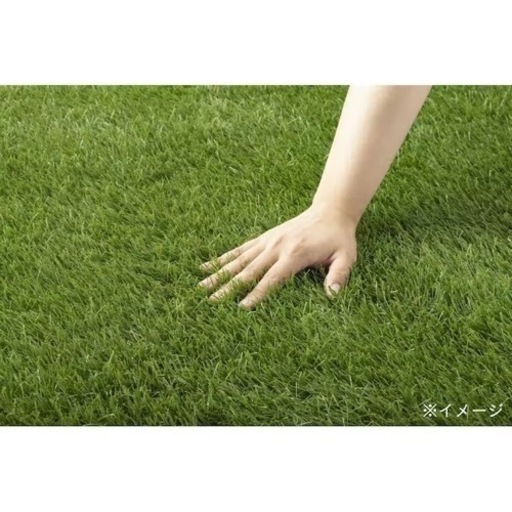 値下げしました！！カインズ　丸巻リアル人工芝 20mm 2.0×4.5m