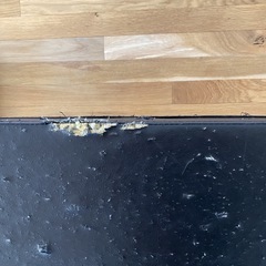 【今年中】フラットベンチ　トレーニングベンチの画像