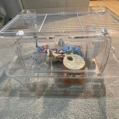 【お取引中】ハムスター飼育セット