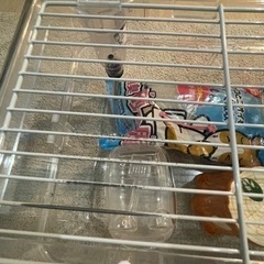 【お取引中】ハムスター飼育セットの画像