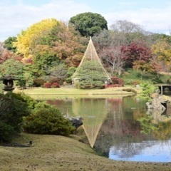 12/11(日)午前中六義園に紅葉を見に行きましょう〜