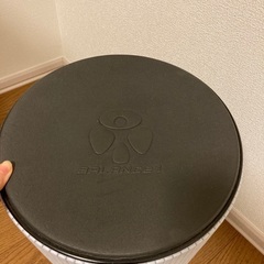 バランスワン　ワブリーチェアの画像