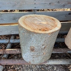 ケヤキの薪割り台