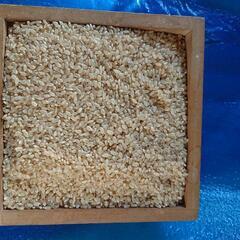 残1令和4年産 新米 キヌムスメ 玄米 30kg×2=60kgみ...