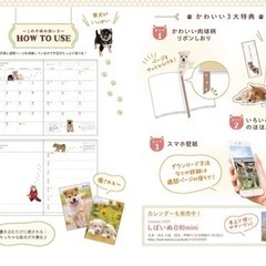 ころころしばいぬ Diary 2023 手帳　未使用品の画像
