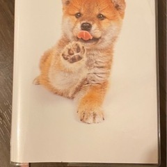 ころころしばいぬ Diary 2023 手帳　未使用品