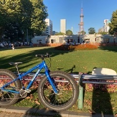 ファットバイク