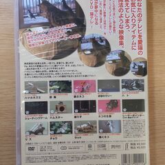 猫のためのテレビ　DVD版の画像