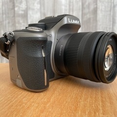 LUMIX DMC-GH2(ボディ/レンズ/保護フィルター他)の画像