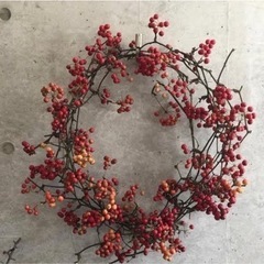 サンキライ　サルトリイバラ　jgaの画像
