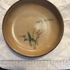 和皿 1枚の画像