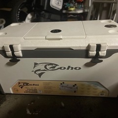コストコ 大型クーラーボックス