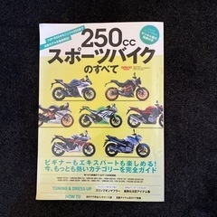 250CCスポーツバイクの本