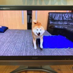 シャープ　32型液晶テレビ LC-32GH50 2008年製