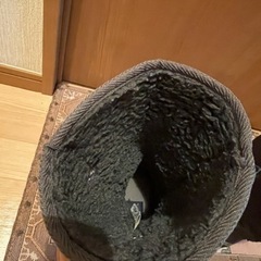 VANSのムートンブーツの画像