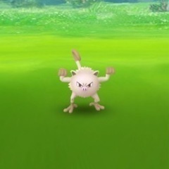 ポケモンGOで一緒にレイドバトル！ − 群馬県