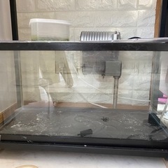 60センチ水槽セット