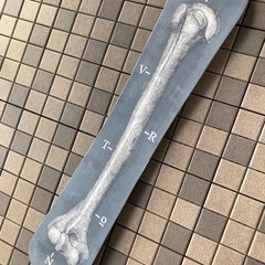 バートン　スノーボード　BURTON  151.5cm ANTLER