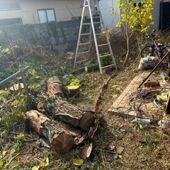 薪ストーブにどうですか？好きなだけ差し上げます。の画像