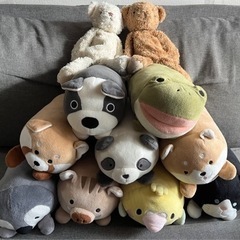ぬいぐるみセットの画像