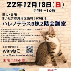 12/18（日）ハレノテラス保護猫譲渡会