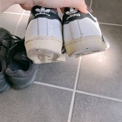 2点の画像