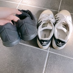 2点の画像