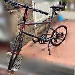 ミニベロ　シュナウザー　Z501の画像