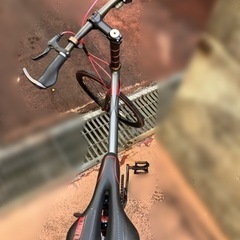 ミニベロ　シュナウザー　Z501の画像