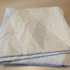 電気カーペット（2畳分）八王子市受渡しの画像