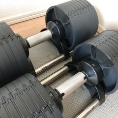 可変式ダンベル　NUO FLEXBELL 32Kg 2個セットの画像