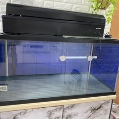 90センチ水槽セット