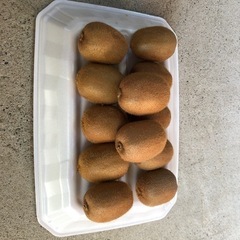 農家直販 キウイフルーツ 1kg〜1.1kg