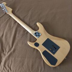 【商談成立、本日受け渡し予定】Washburn N2　中古の画像