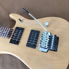 【商談成立、本日受け渡し予定】Washburn N2　中古の画像