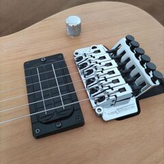 【商談成立、本日受け渡し予定】Washburn N2　中古の画像
