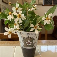 さし草食べて身体が勝手に整っていく！さし草花茶30包の画像