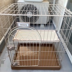 ねこちゃんお世話4点セット