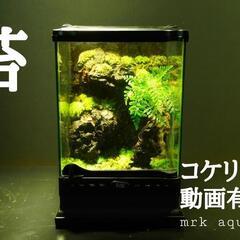 コケリウム テラリウム パルダリウム  【グラステラリウム ナノ】