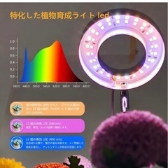 取引中【新品未使用】観葉植物ライトの画像