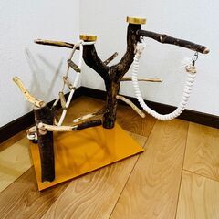 天然木バードジム