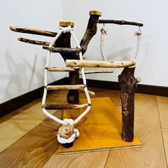 天然木バードジムの画像