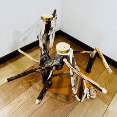 天然木バードジムの画像