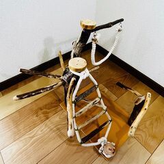 天然木バードジムの画像